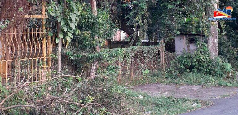 3toneles 1 1200x580 1 768x371