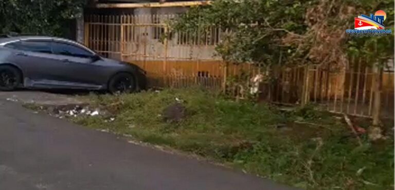 3toneles 12 1200x580 1 768x371