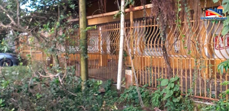 3toneles 4 1200x580 1 768x371